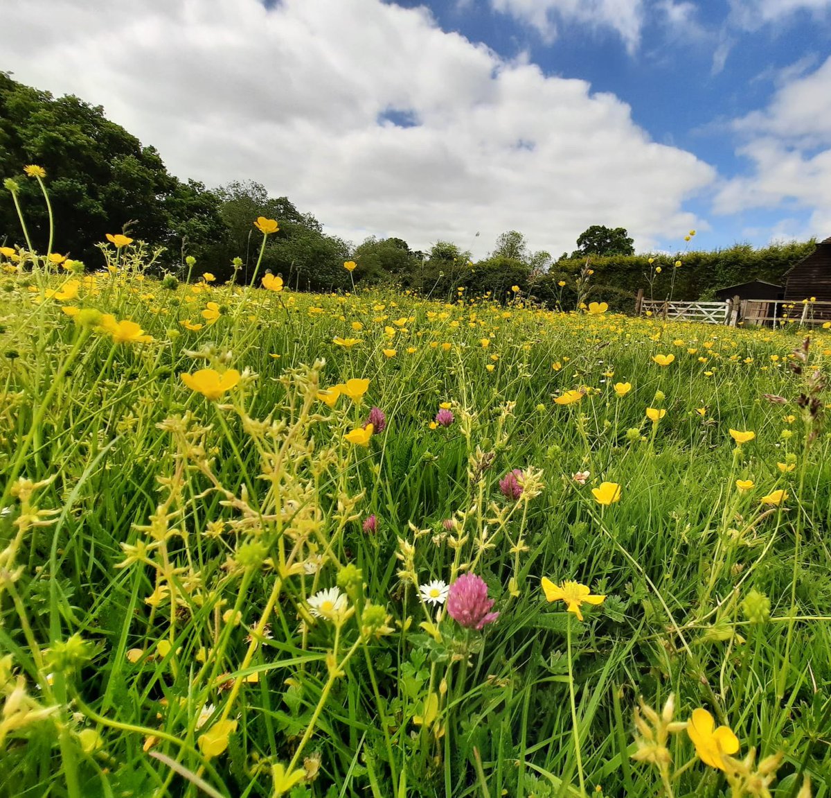 Being in nature does something beautiful to the soul.