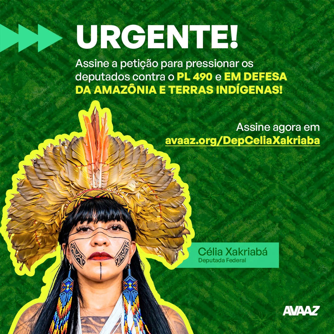 A comunidade internacional precisa se posicionar: o #PL490não é um ataque apenas aos nossos povos, e sim uma ameaça à vida na Terra. Uma pressão internacional é necessária contra esse genocídio legislado dos povos indígenas no Brasil.
avaaz.org/DepCeliaXakria…