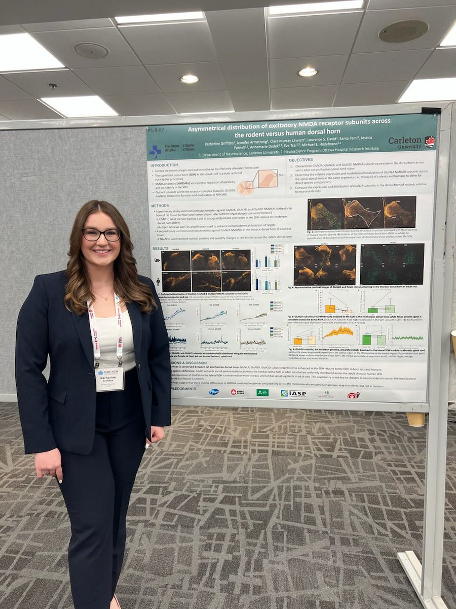Come check out how determinants of pain processing (incl. NMDARs) in the rat and human spinal cord are conserved/diverge across region,sex,&amp; species by the dream team of <a href="/marriumkhan_/">Marrium Khan</a> (B30) <a href="/newtontheneuron/">Newton Martin</a> (B52) &amp; <a href="/katgriffiths_/">Katherine Griffiths</a> (B67) today at 3! <a href="/CAN_ACN/">CAN ACN</a> <a href="/NeuroCarleton/">NeuroCarleton</a>