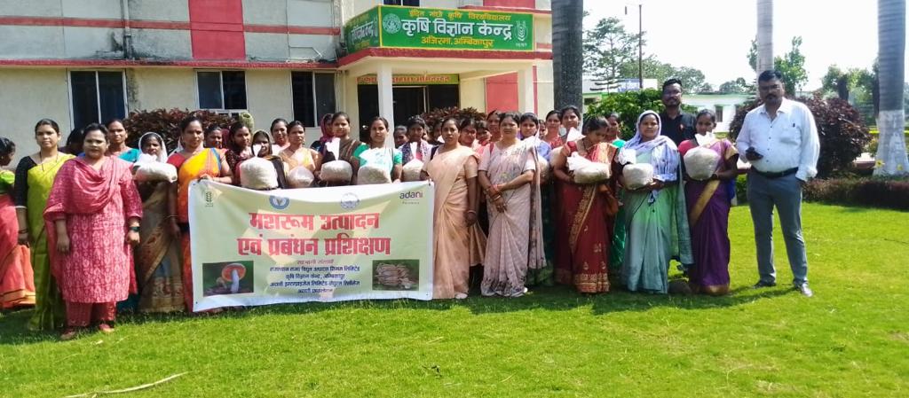 MUBSS_CG's tweet photo. One day Training on Mushroom Cultivation at KVK Ambikapur 

Under the CSR of RRVUNL, one day training is organised with the help of adani foundation at Krishi Vigyan Kendra Ambikapur, the training having total 40 participants are form Salhi, Ghatbarrh and Basen villages. https://t.co/PfUKG3295i
