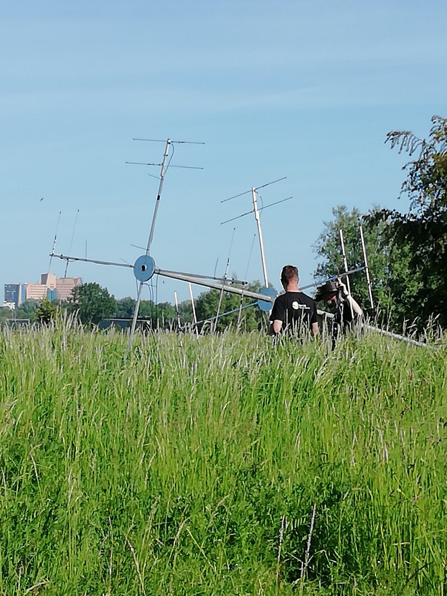 Op de SuikerZijde altijd iets bijzonders. In dit geval een nog liggende mast ivm lokaliseren vleermuizen. Ik mocht een foto maken.