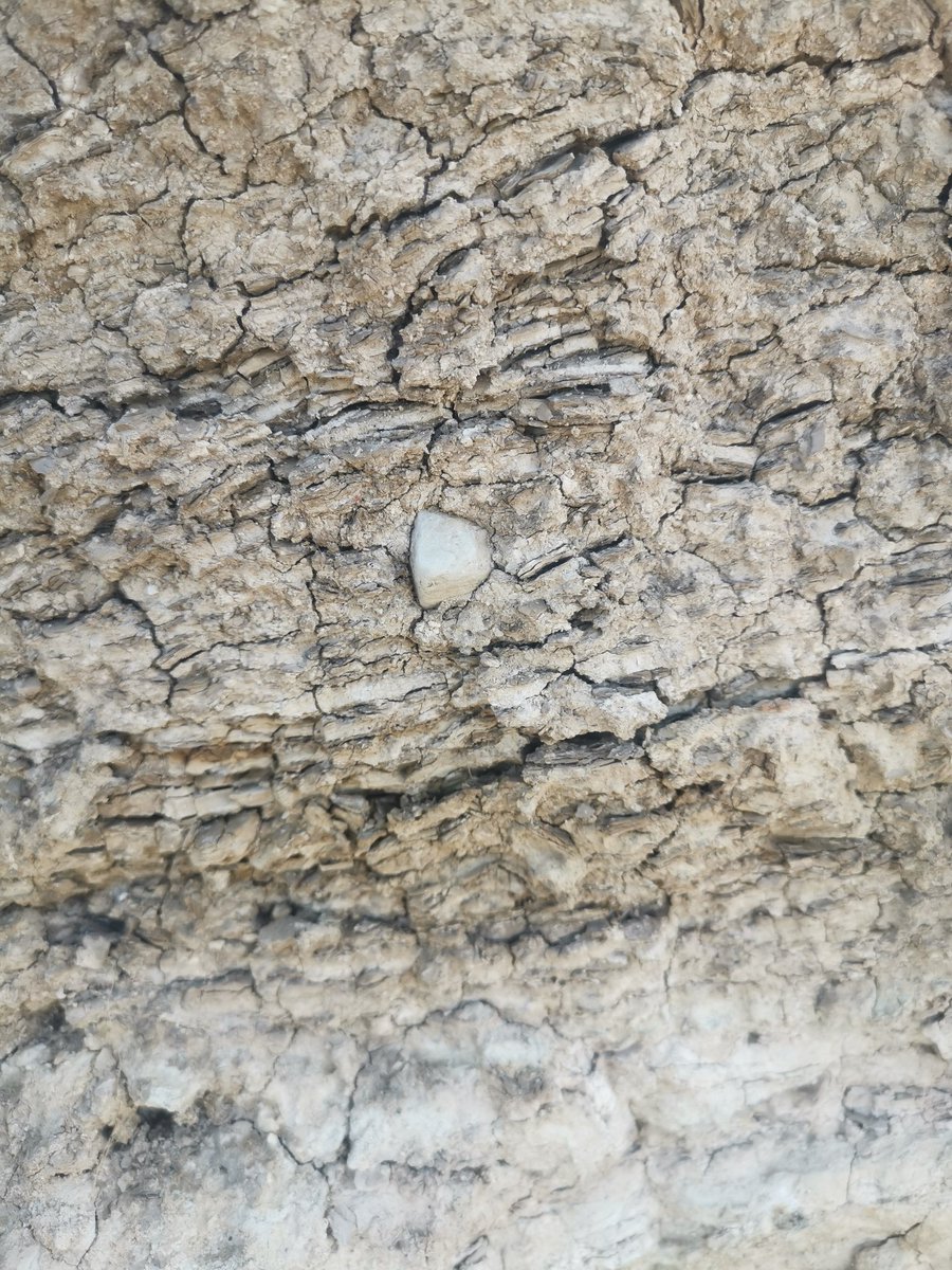 Gosia_Frydrych's tweet photo. The first day back in Poland is a perfect day for a field trip 😊
Very interesting meeting in a cliff of Jeziorsko Reservoir #GLOF #glacialsediments #drone https://t.co/AXK6Oantm0