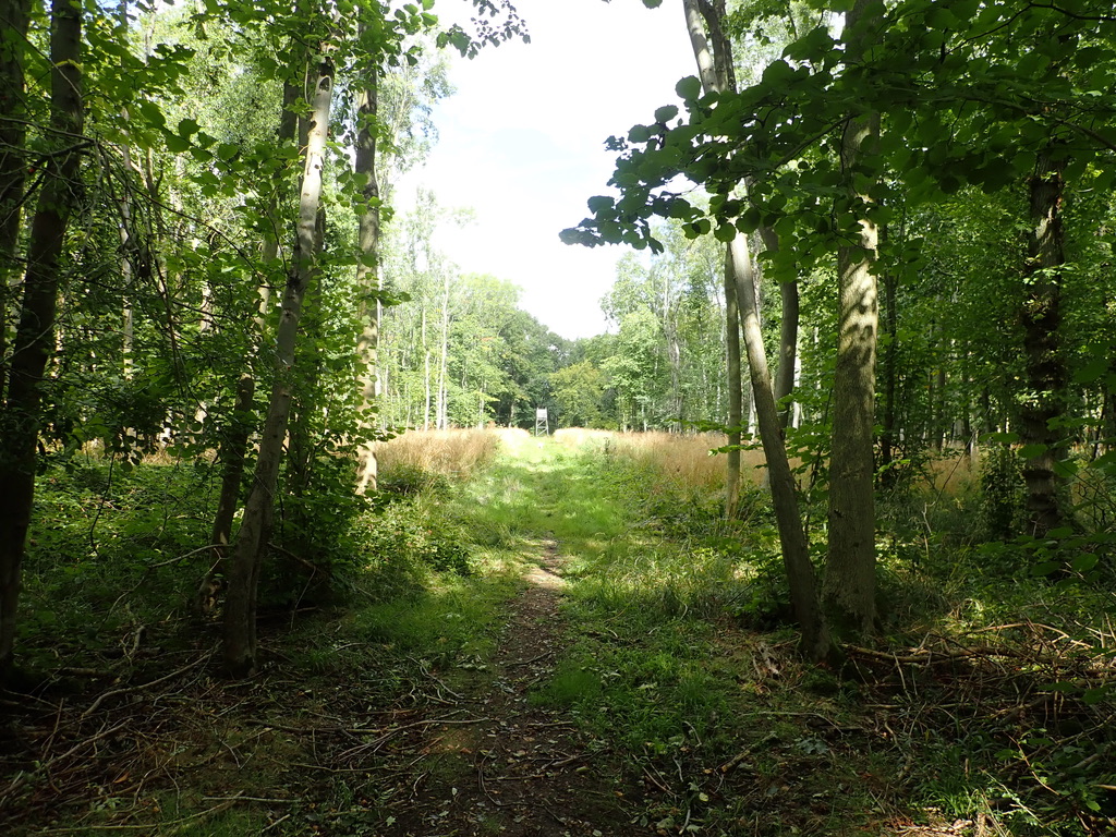 Rockingham Forest Vision tweet media