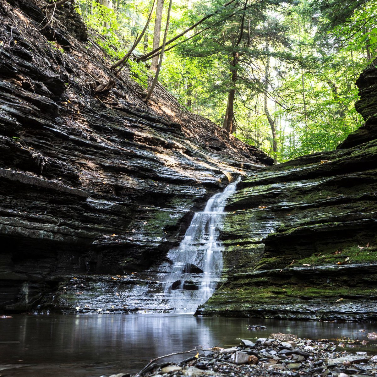 GreeterFalls's tweet photo. "Wilderness is a necessity… there must be places for human beings to satisfy their souls." —John Muir  #greeterfalls #savagegulf #tennesseestateparks #tennesseewaterfalls #campground ​​​​​​​​#RVCamp #glamping #waterfall #boardtreefalls #stonedoor #camp #hike #adventure #nature https://t.co/Nx39c7kTy1