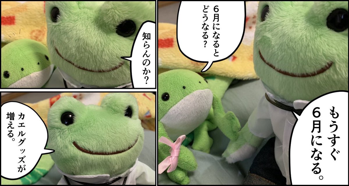 何かと話題なカエル  そういえばもうすぐ6月ですな