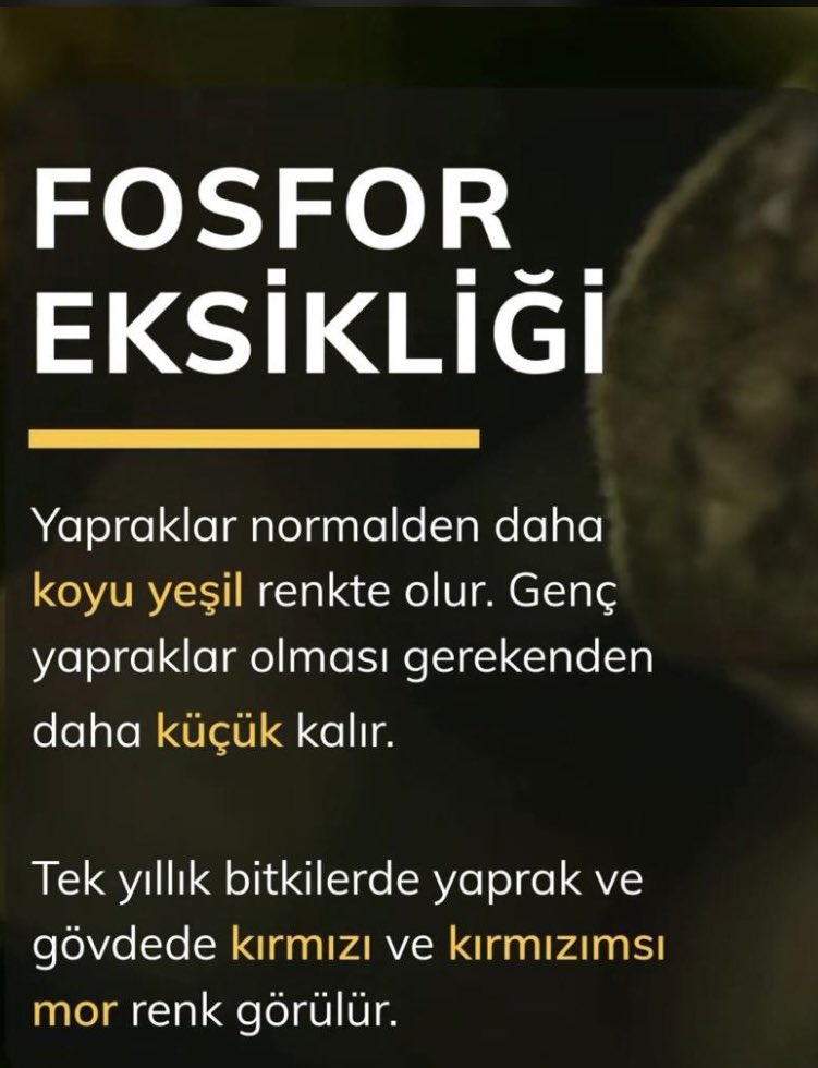 makrotarim's tweet photo. #Fosfor Bitki Beslemede Eksik Olmasın . Sorun Varsa ; Çözüm : @makrotarim #makrotarim #BitkiBeslemeUzmanı #Panco #PZinc #ZipphosN https://t.co/wgXc4Pn1h3
