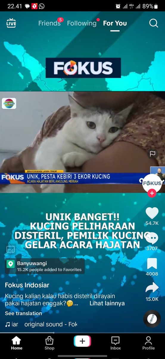 kochengfs's tweet photo. 🐈 Udah liat ini belum, gemes banget, sunatnya diadain pesta dong https://t.co/m54loQe52x