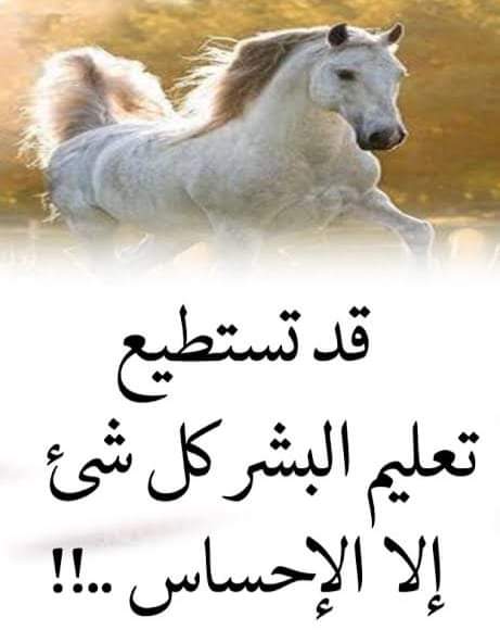 Tarek🔥 (@tarke0001) on Twitter photo 