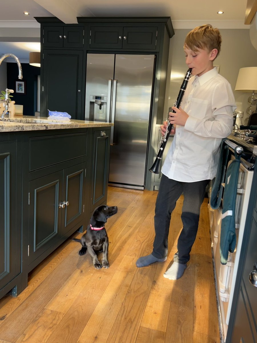 STEMeducationUK's tweet photo. The puppy has good taste in music. A Jazz fan apparently 🎶 https://t.co/nWgIgfPTtW