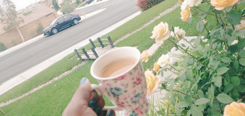 Inji tea fraands 😃

Have a nice evening/morning 🌄🤗

#tealovers
#evening