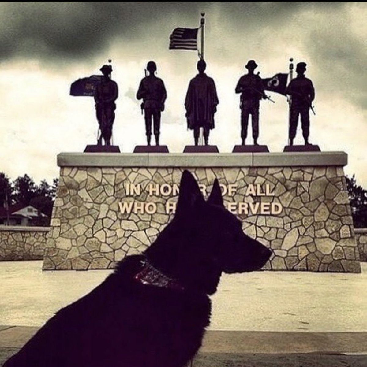 DogsforDefense tweet picture