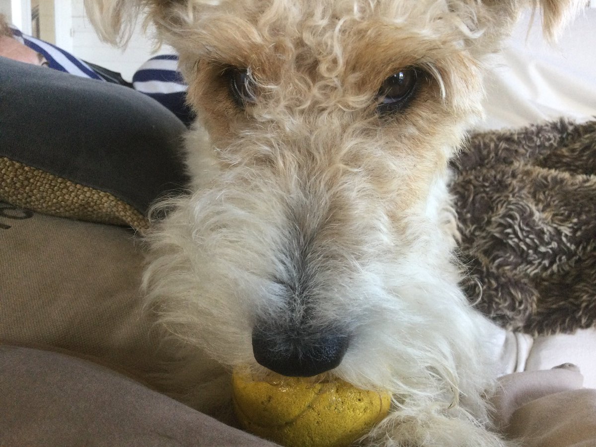 FONSEJ 🇪🇸🫶🇺🇦 tweet media