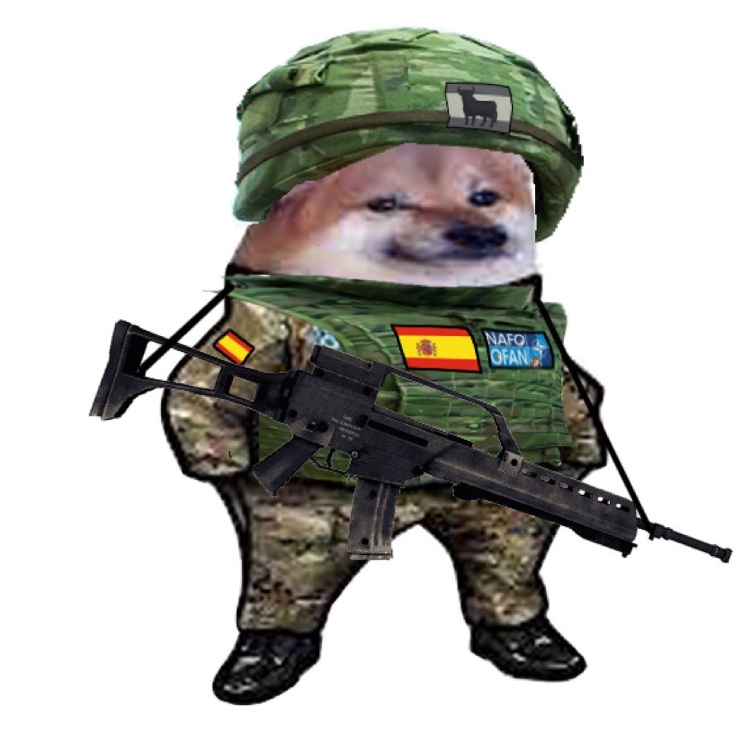 FONSEJ 🇪🇸🫶🇺🇦 tweet media