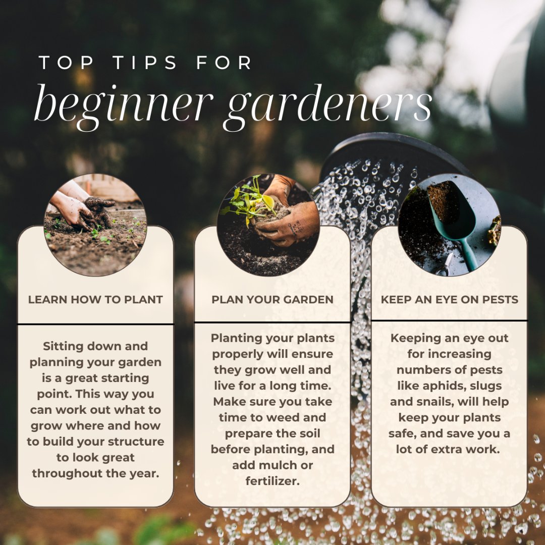 Are you looking to add a garden to your backyard this Summer? Here are some good tips to get you started! 🌱

#homegarden #homegardening #homegardenlove #springgarden #springgardening #springgoals #gardentips