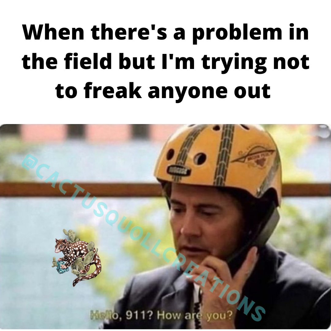 Gael Sanchez (she/her) (@cactusquoll) on Twitter photo 