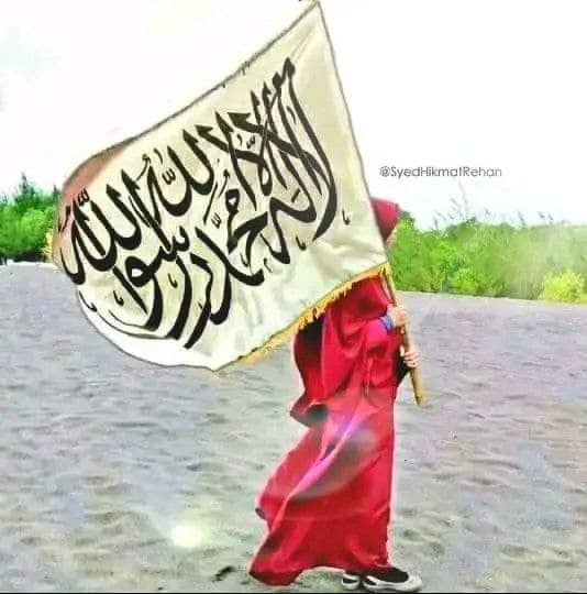 SayedAg13982465's tweet photo. @mubeen1312 https://t.co/6uR4whnme3