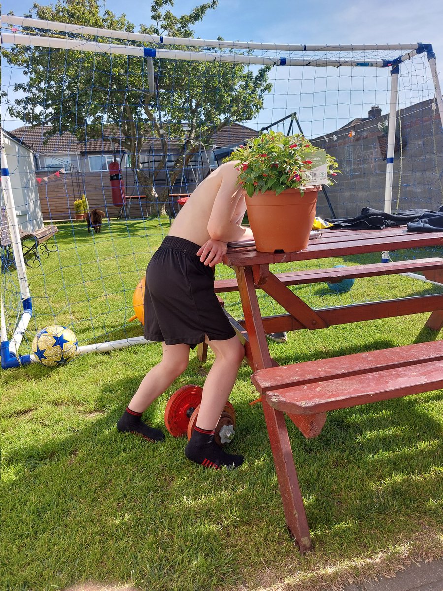 InspirePod's tweet image. My youngest child has a plant for a head