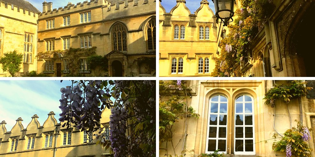 @JesusOxford draped in wisteria. 😍

Visit Jesus College for free with your My Oxford Card: ➡️ bit.ly/AccessOxCollege

📷 Alumni Office / ZB
