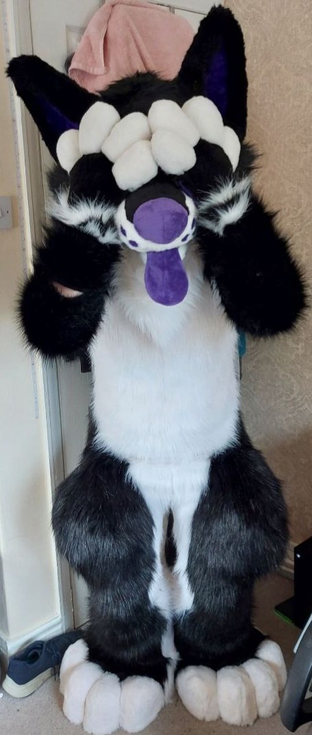 ShadowWolfLX's tweet photo. After a long and exciting wait I am happy to introduce you to Shadow, my wolf hybrid floofy boy 💜

Massive shoutout to @FluffyDrWolfie for bringing him to life, I love him so so much 🥰

#furry #furryfandom #furryoc #furrycommunity https://t.co/StxeH3Wnlx