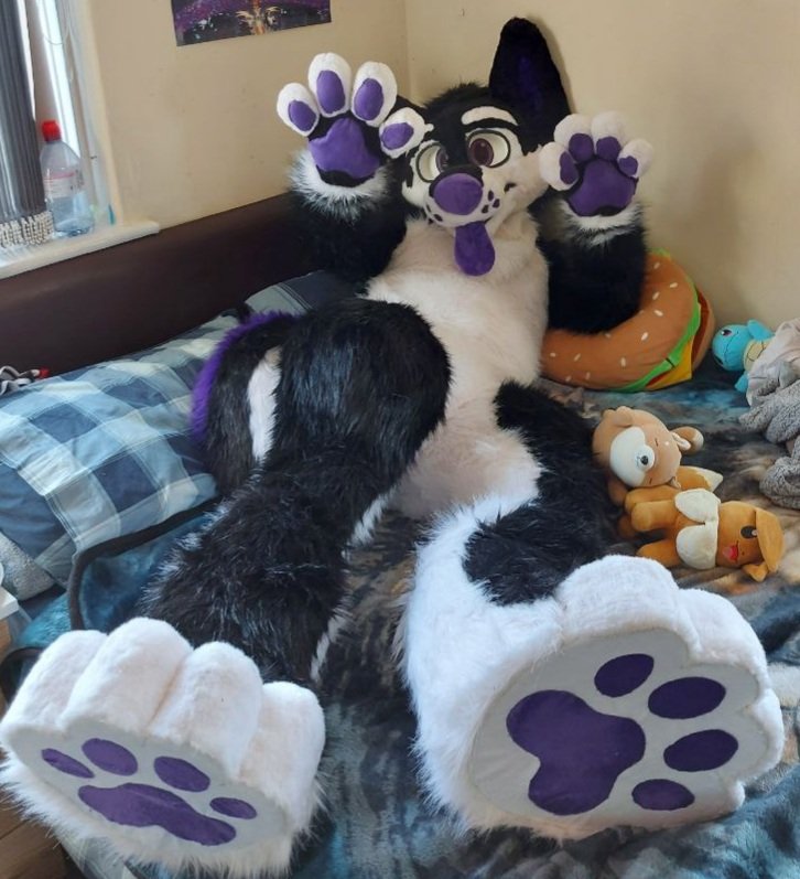 ShadowWolfLX's tweet photo. After a long and exciting wait I am happy to introduce you to Shadow, my wolf hybrid floofy boy 💜

Massive shoutout to @FluffyDrWolfie for bringing him to life, I love him so so much 🥰

#furry #furryfandom #furryoc #furrycommunity https://t.co/StxeH3Wnlx