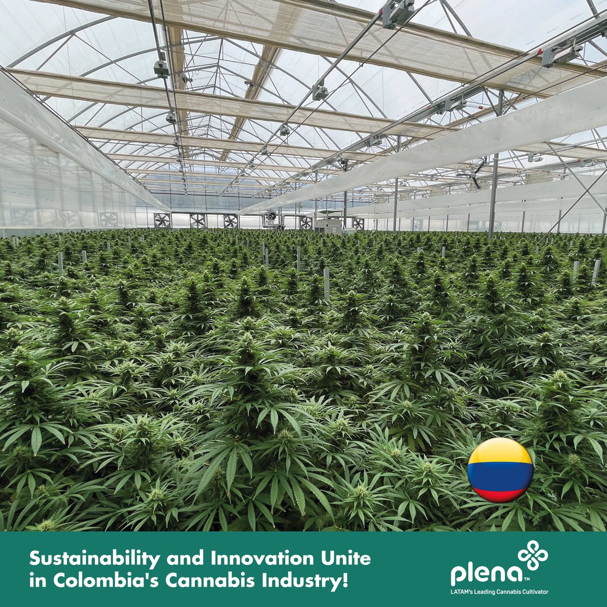 PlenaGlobal's tweet photo. Unlock the cannabis industry's boundless potential with Colombia, your top-tier destination for medicinal-grade cannabis cultivation!

https://t.co/YoSuNWGe8z
#industry #cannabis #cannabisindustry #cannabismedicinal #medicinalcannabis #cannabislife #cannabisismedicine #colombia https://t.co/BFRRrNH90t