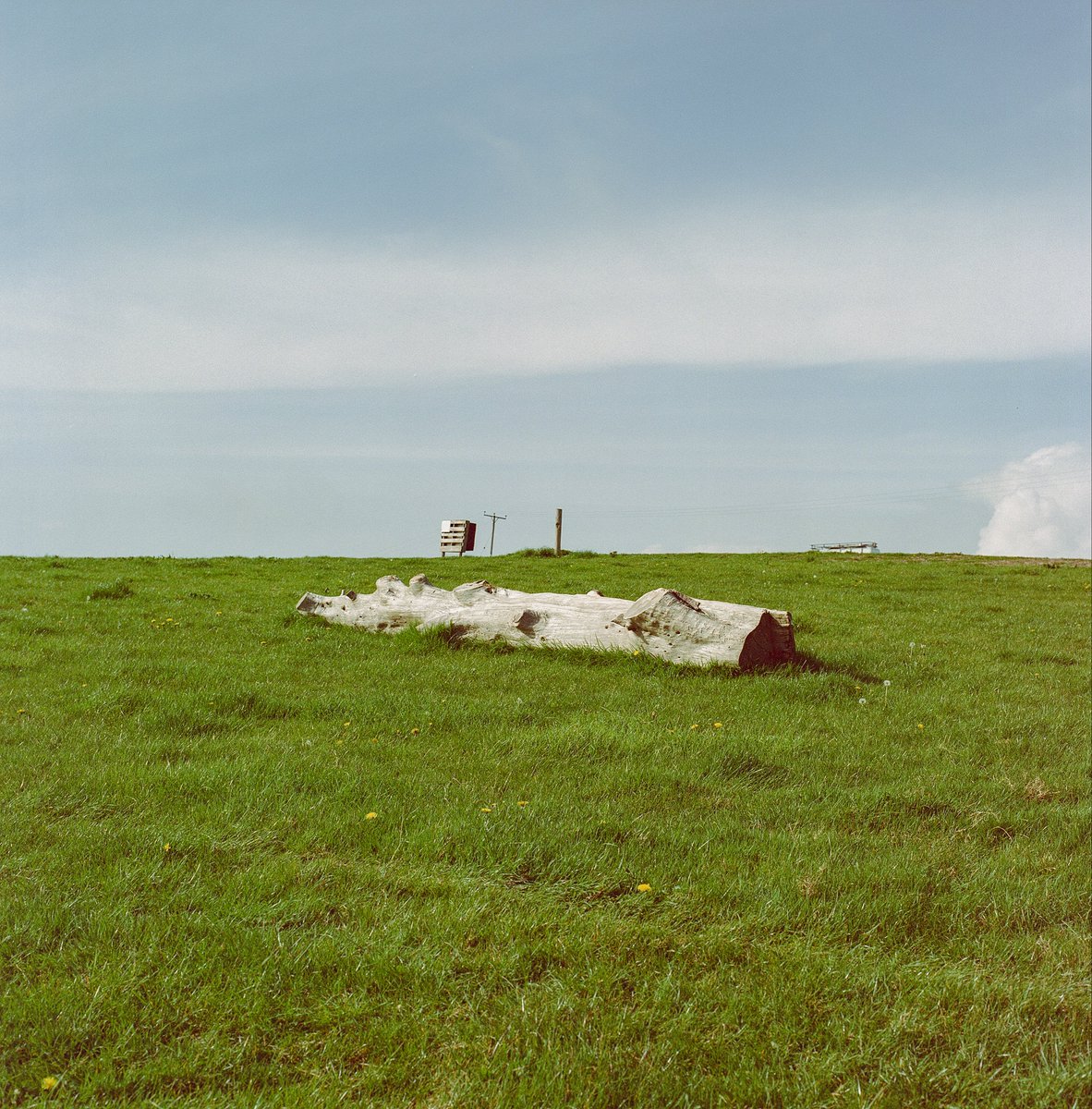 Solus 🍄 | Stronghold Validator tweet media