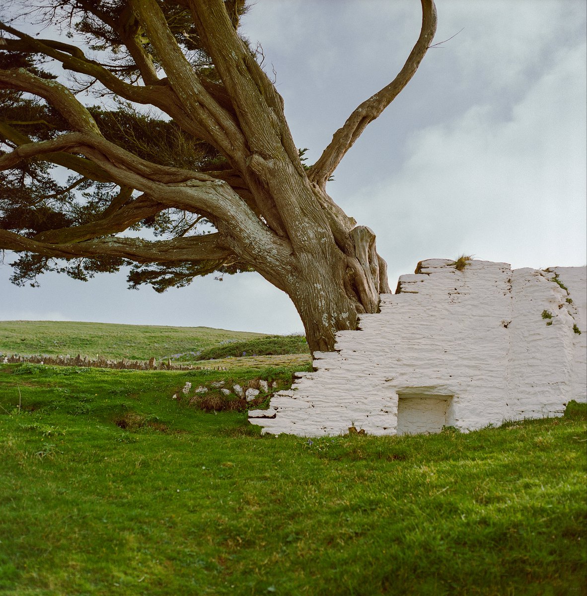 Solus 🍄 | Stronghold Validator tweet media