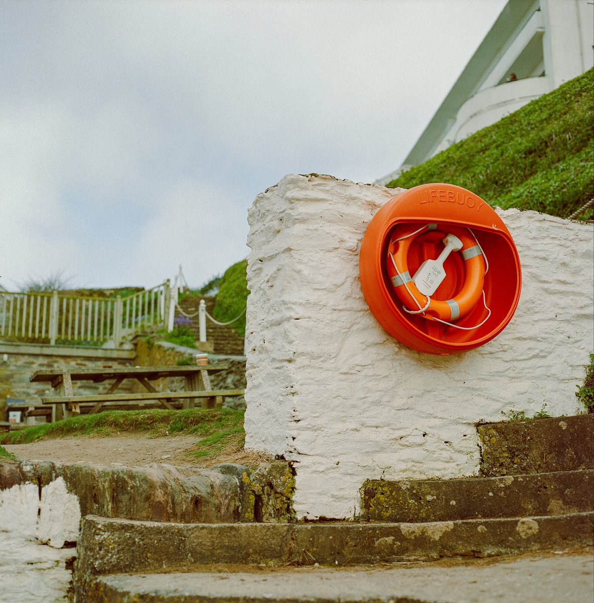 Solus 🍄 | Stronghold Validator tweet media