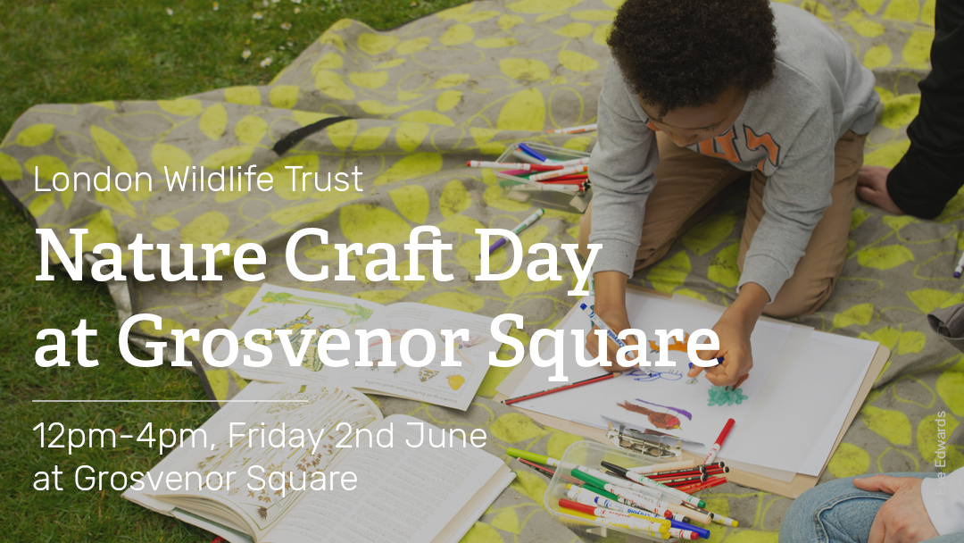 Looking for summer activities? Come along to <a href="/grosvenorsquare/">Grosvenor Square</a> on Friday 2nd June between 12pm-4pm and join London Wildlife Trust for a free day filled with nature-inspired crafts. 🍃 Check out the link below for more details and how to book your spot👇 
(bit.ly/41g7TEF)