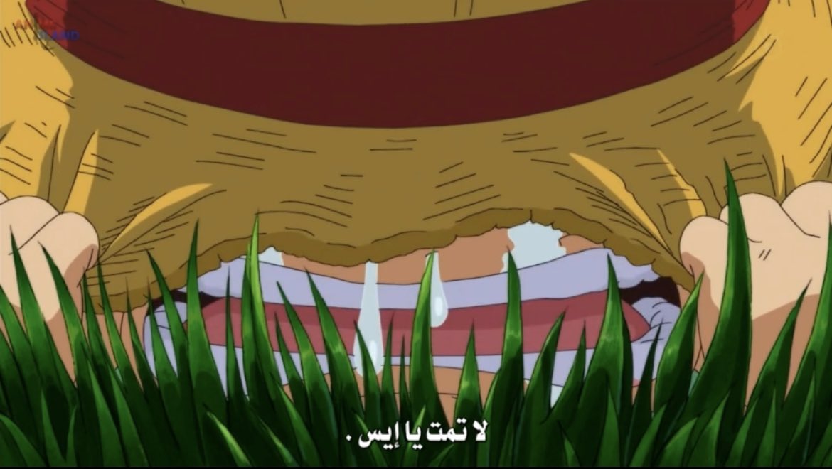 ASCom0's tweet photo. "أسمعني لوفي، أعدك بأنني لن أموت أبدًا" https://t.co/w2UZ2Q2cR8