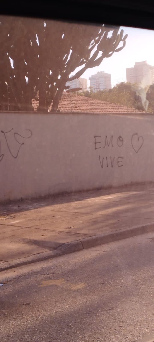 emosemcontextos's tweet photo. ππ» https://t.co/5dpmXviNrc
