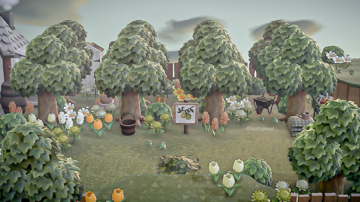 springleeaf's tweet photo. ~elmleaf 🌱🌼

I’ve been working on this island for over a year now and I still haven’t finished it and since I’ve been losing interest I’ve been thinking about restarting! would anyone still be interested in an unfinished dream adress? 

#AnimalCrossing #acnh #ACNH #acnhinspo https://t.co/crxm6fD14v