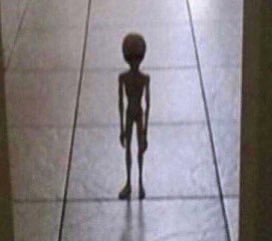 𝙎𝘼𝙄𝙆𝙄 . (@txrekineshisu) on Twitter photo 