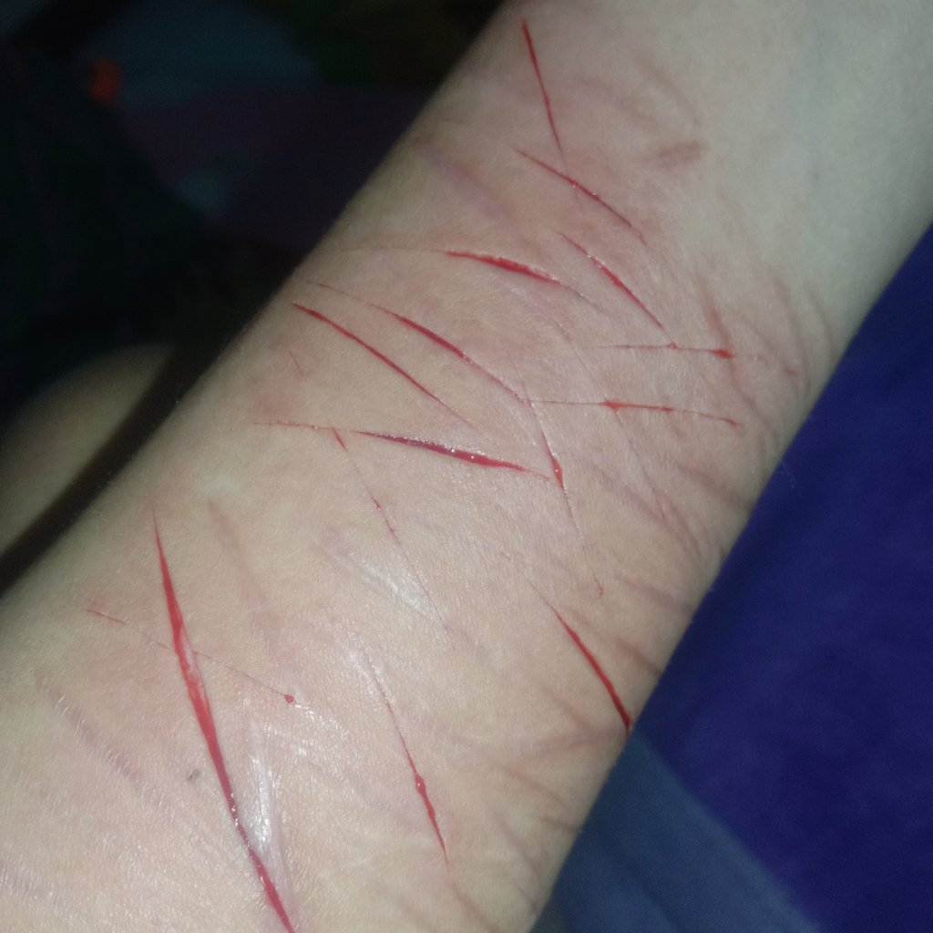 labu shtwt edtwt tweet media