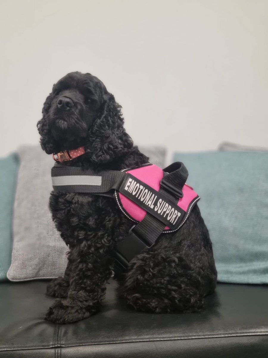 fay townsend-jackson tweet media