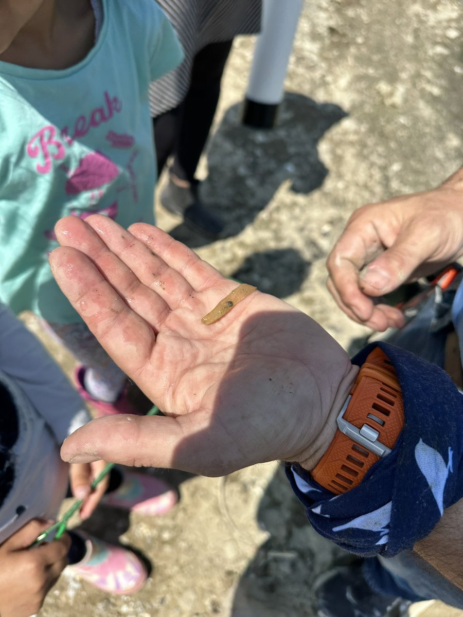 A day at the reservoir, catching tadpoles for pond studies @TonyPontesPS #peeleyc @peel21st @RangerRidley