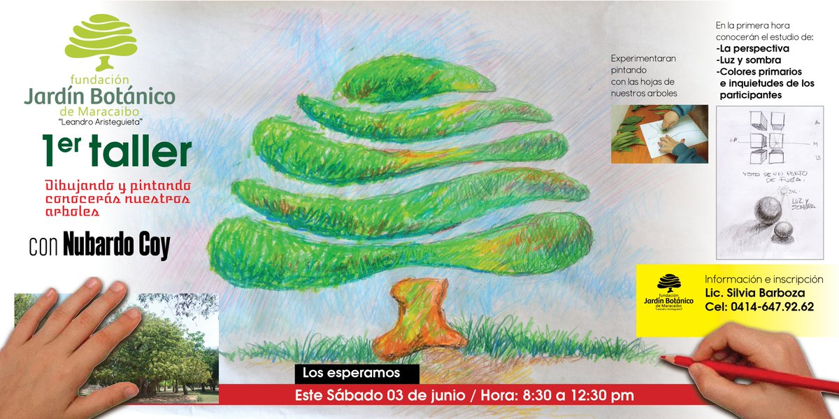 Para mayor información comunicarse al Jardín Botánico de Maracaibo con:
Lcda. Silvia Barboza.
