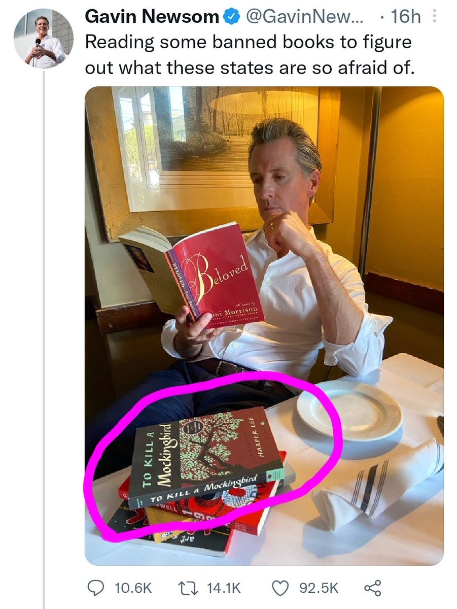 ElephantCivics's tweet image. California schools actually banned to kill a mockingbird from being taught. Florida said books can't have porn in them in elementary school.