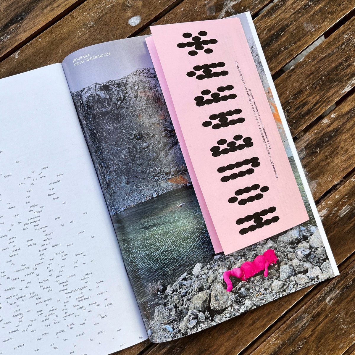 Delal Seker Bulut has written a brief review about her speculative letter from a future in the Middle East, a letter from Houbara. Delal works as an editor and artistas part of the Design and Posthumanism Network in Gothenburg. Read the review on designandposthumanism.org/2023/05/29/a-l…