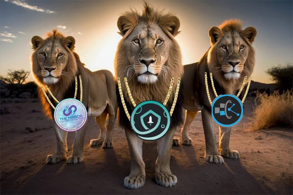 The 3 lions will Roar very soon! #SAFEMOON #BBTF #mprotocol