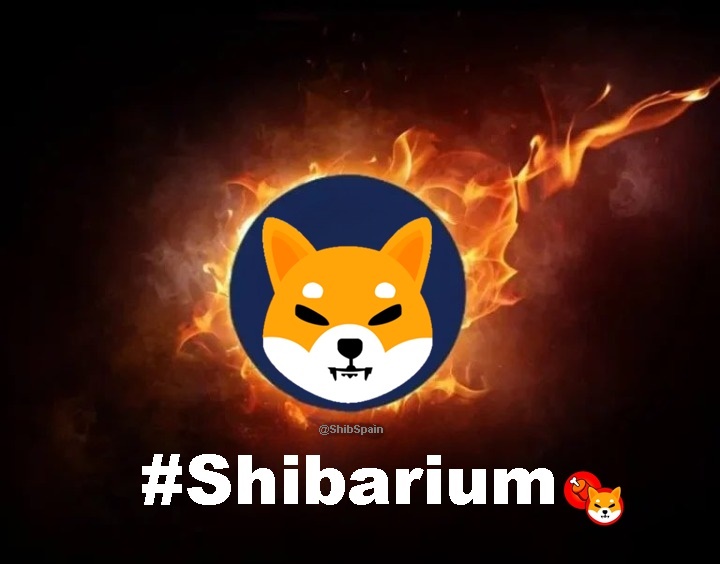 #Shibarium MainNet is closer every day and will burn Trillions $SHIB upcoming bull market🔥🔥🔥🔥

#SHIBARMYSTRONG