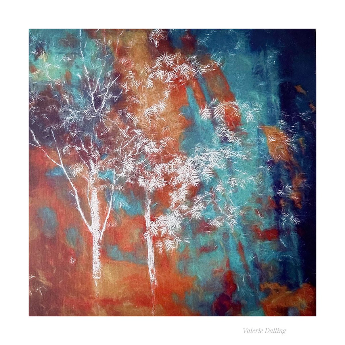 valeriedalling's tweet image. ‘Insomnia’ 
I’ve made many visits to Bolehill Quarry now, and time spent there amongst the beautiful silver birches, hidden from the surface of the landscape, are always in my thoughts. My connections with these trees continue…
#peakdistrict #iPhone #photography #wellbeing