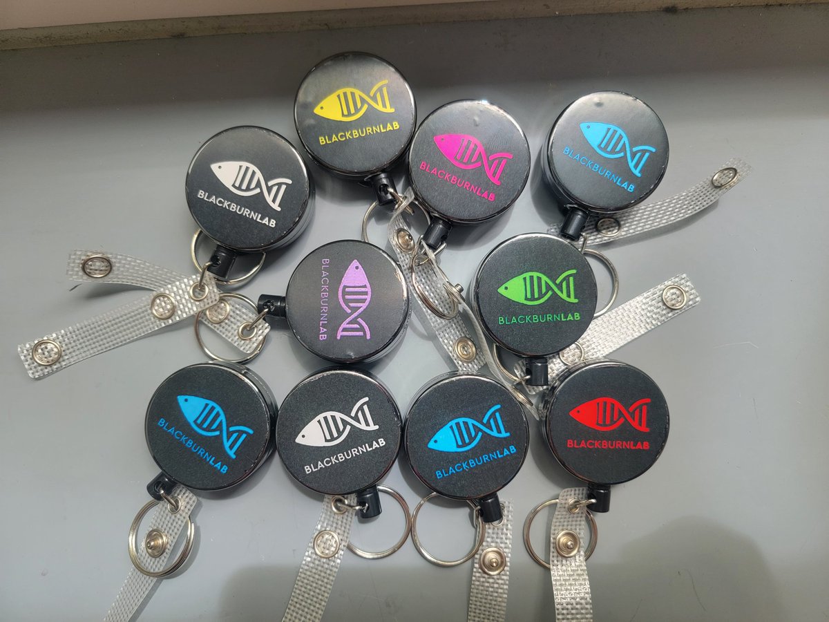 R01 due in a week 😱 So of course I spent the morning making badge reels for our new undergrads and daydreaming about an etsy shop to fund the lab 😅 #Productivity