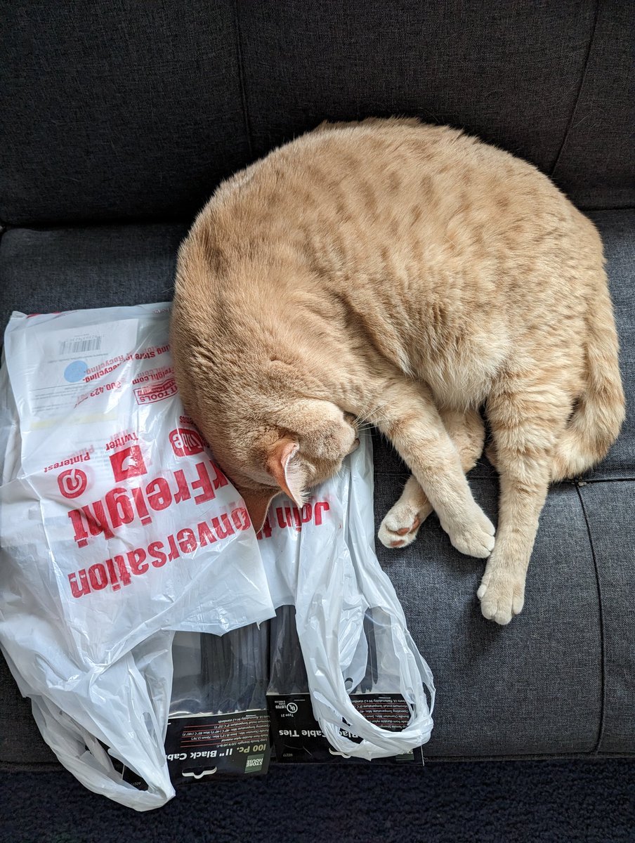 The new @HarborFreight model! Daily dose of Bubby! #TeamPixel