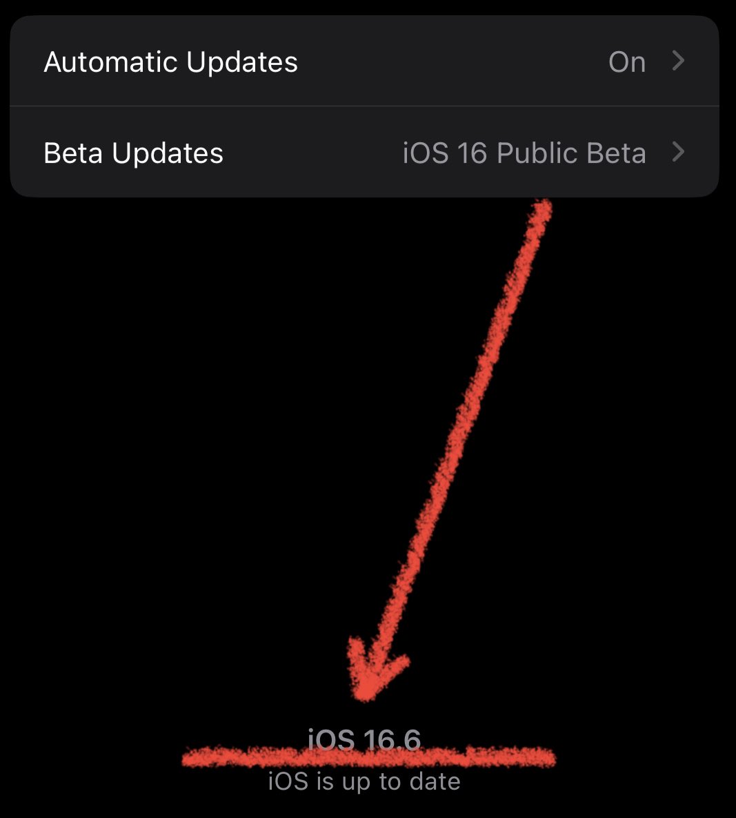 @your_tech_guy_8 Whoa 😳.. Did you update to iOS 16.6 Beta? It has a lot of Bugs.. nobody should be updating to it.. 🫣👍 #iPhone #ios165 to #ios166 - Don’t Do it!