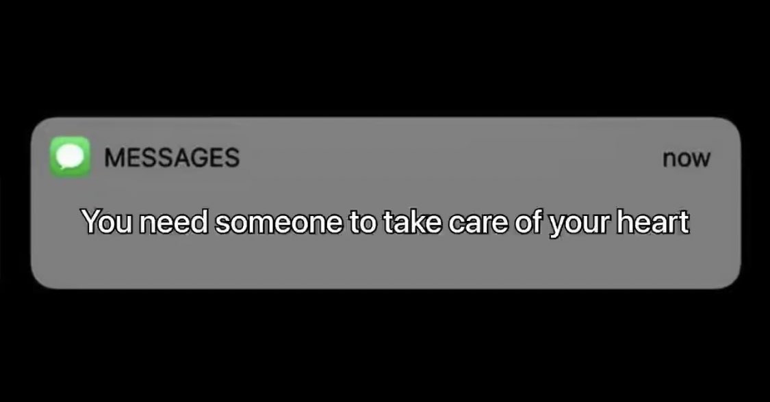 morphsassaurus's tweet image. WHO CAN????😾