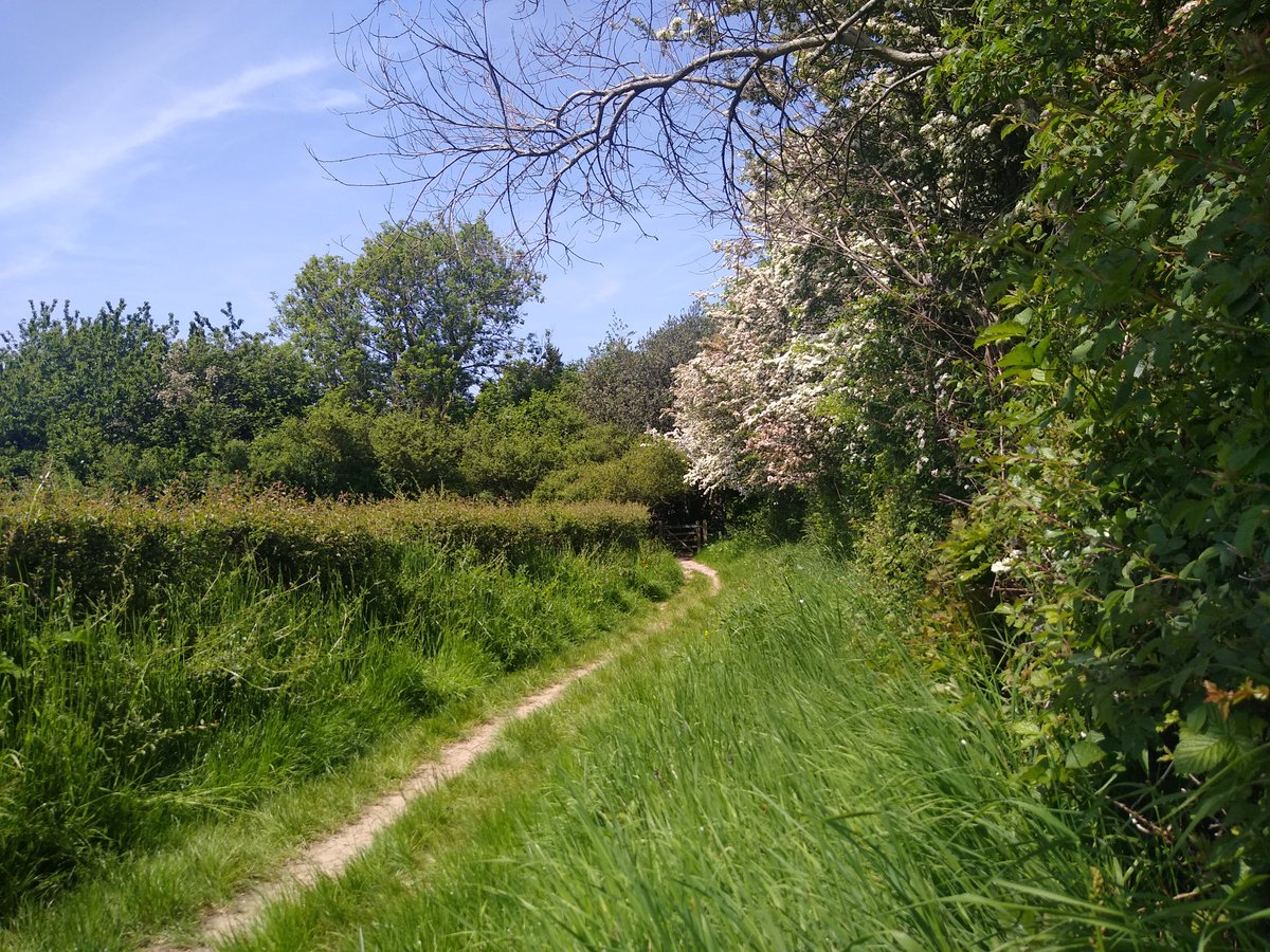 Path, Ditchling