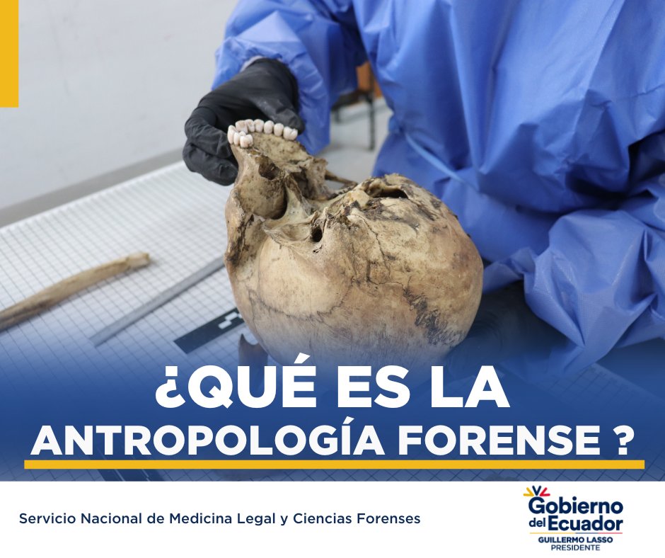 Servicio Nacional de Medicina Legal y Forense tweet media