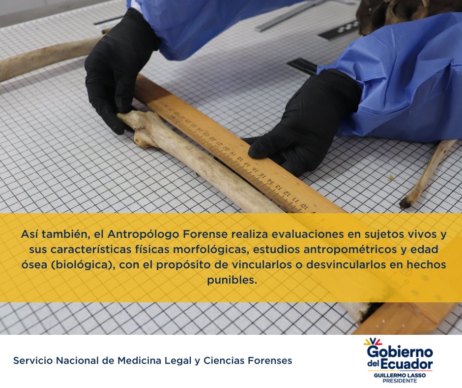 Servicio Nacional de Medicina Legal y Forense tweet media