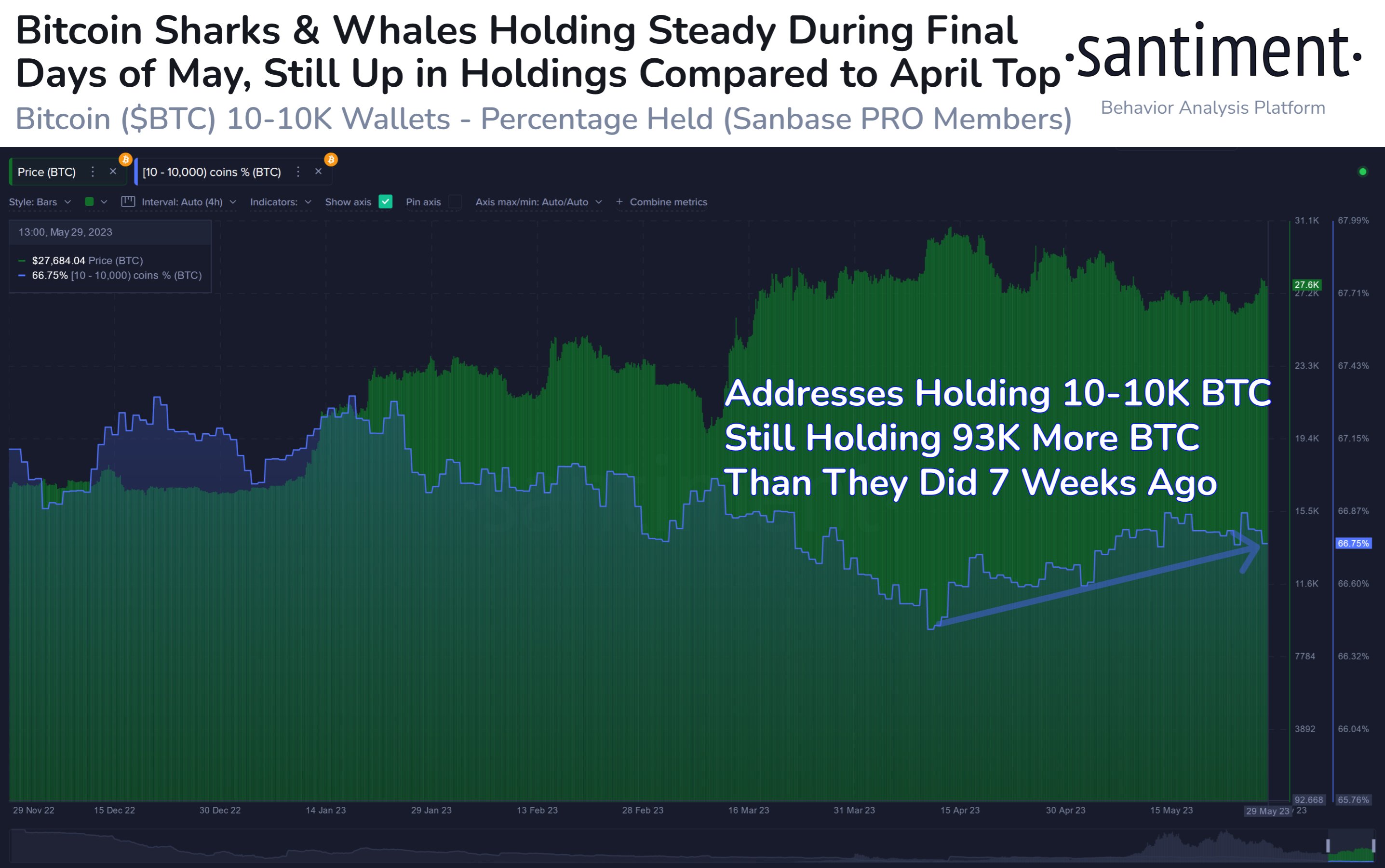 Bitcoin Sharks & Whales